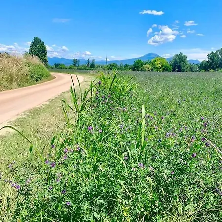 Zanina 3* Peschiera del Garda