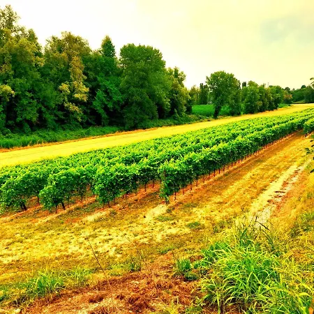 Zanina 3* Peschiera del Garda