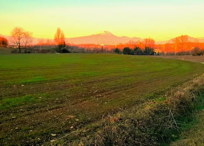 Zanina Peschiera del Garda