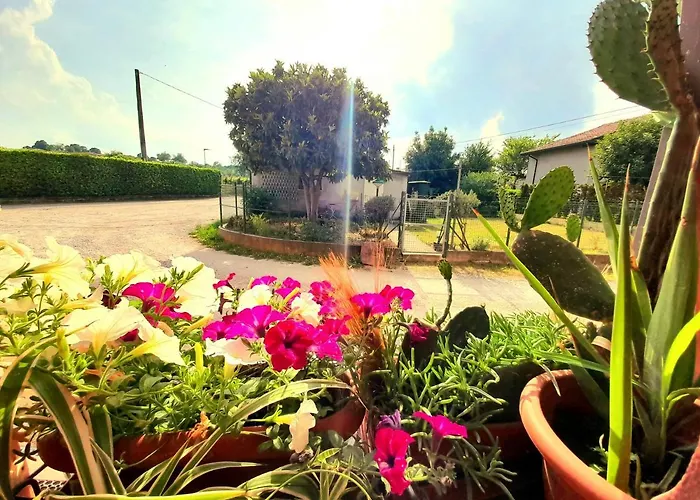 Maison d'hôtes Zanina