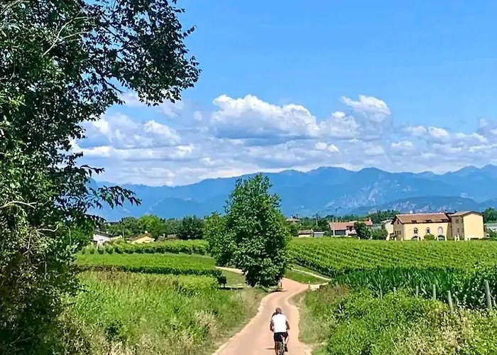 Zanina Peschiera del Garda