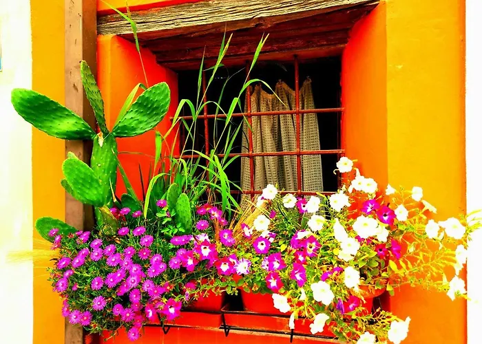 Zanina Peschiera del Garda