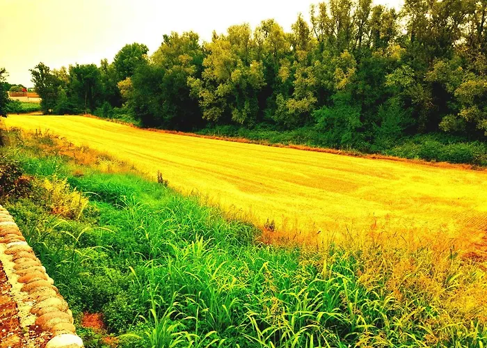 Zanina Maison d'hôtes